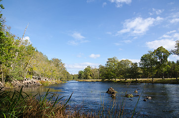 Image showing Late summer view at a small river