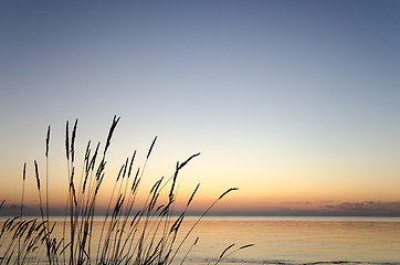 Image showing Straw silhouettes at sunset