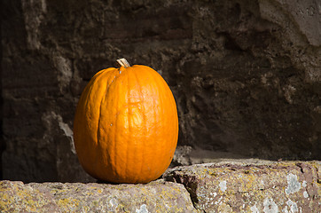 Image showing Single fresh pumpkin