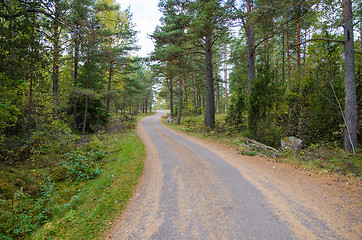 Image showing Country road at autumn