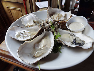 Image showing oysters on plate