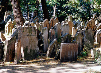 Image showing Old Jewish Cemetery