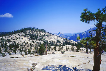 Image showing Yosemite National Park