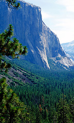 Image showing  Yosemite National Park