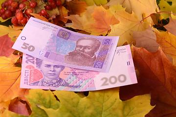 Image showing ukrainian hryvnya money banknotes on autumn leaves