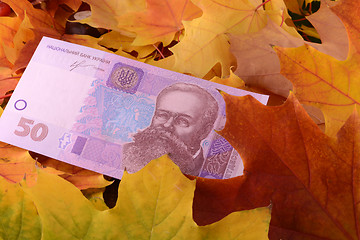 Image showing ukrainian hryvnya money banknotes on autumn leaves