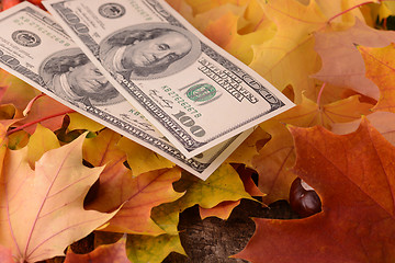 Image showing Close up macro detail of dollars money banknotes