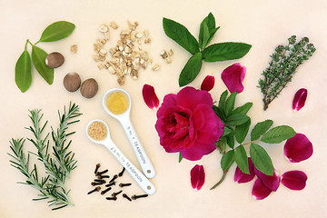 Image showing Love Potion Ingredients