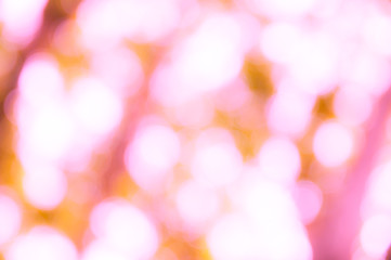 Image showing Bokeh