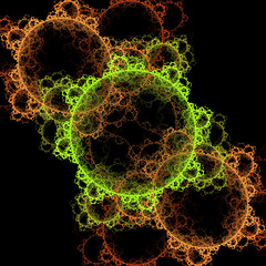 Image showing Symmetrical growth of bacteria