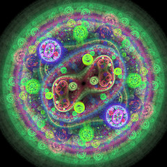 Image showing Symmetrical growth of bacteria