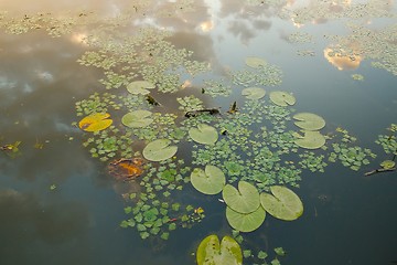 Image showing Lake Surface