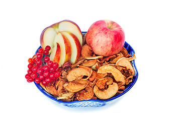 Image showing Apples and berries of a guelder-rose in a vase on a white backgr