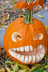Image showing Halloween pumpkin