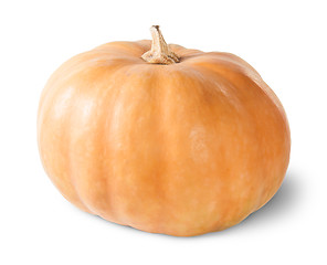 Image showing Single Orange Pumpkin