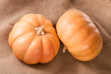 Image showing Two Pumpkins On Sackcloth