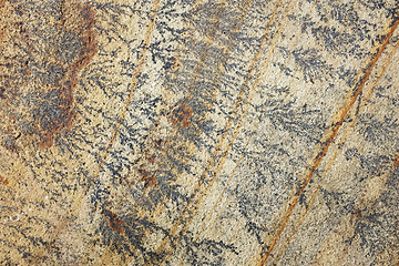 Image showing Intricate fern-like markings on sandstone