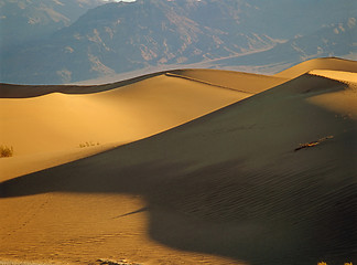 Image showing Sand Dunes