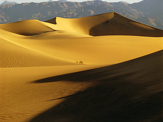 Image showing Sand Dunes