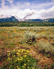 Image showing Grand Teton,Wyoming