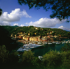 Image showing Portofino