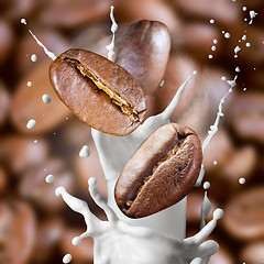 Image showing Falling roasted coffee beans with steam and milk