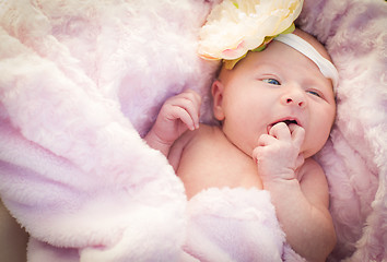 Image showing Beautiful Newborn Baby Girl Laying in Soft Blanket