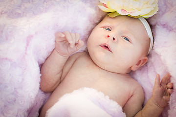 Image showing Beautiful Newborn Baby Girl Laying in Soft Blanket