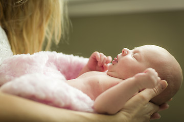 Image showing Hands of Mother Holding Her Newborn Baby Girl