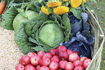 Image showing Fruit and vegetable in basket