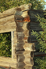Image showing nature eating old wooden building