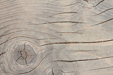 Image showing spruce wood floor detail