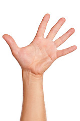 Image showing Man hand