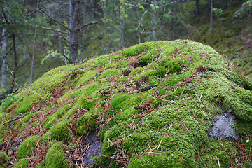 Image showing Big stone