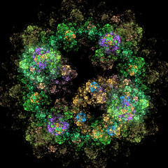 Image showing Symmetrical growth of bacteria