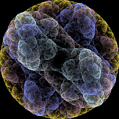 Image showing Symmetrical growth of bacteria