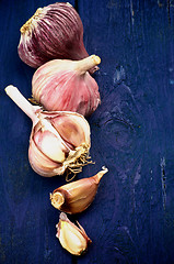 Image showing Garlic