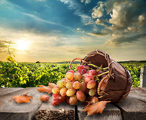 Image showing Grapes on table