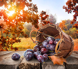 Image showing Plums on table