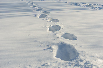 Image showing tracks on the snow