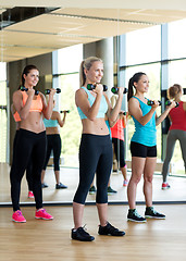 Image showing group of women with dumbbells in gym