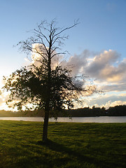 Image showing Sunset