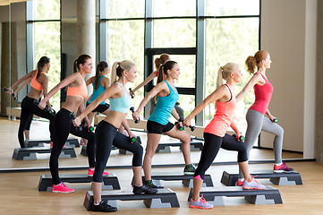Image showing group of women with dumbbells and steppers