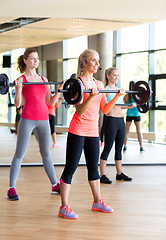 Image showing group of women with barbells in gym