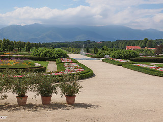 Image showing Reggia di Venaria gardens