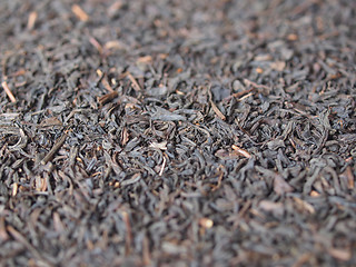 Image showing Loose tea background