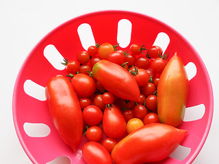 Image showing Tomato vegetable