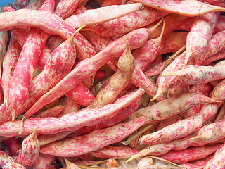 Image showing Cranberry beans