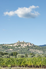 Image showing View to Montemassi Tuscany