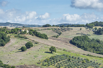 Image showing Beautiful landscape Tuscany